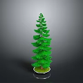 Green Potted Pine Tree on Black Tabletop With White Base Against Gray Background 3d model