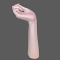 Anatomically Detailed Human Hand with Palm Up and Naturally Curved Fingers Against Gray Background