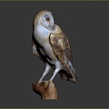 Modern owl grimace owl long-eared owl Wulin owl 3d model