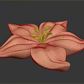 Pink Flower With Elegant Soft Petals And Bright Yellow Stamens On Reflective Surface