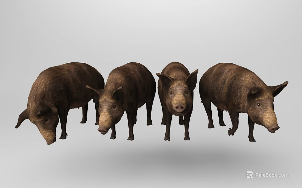 Four Brown Pigs Standing Together In Realistic Animal Group 3d model 
