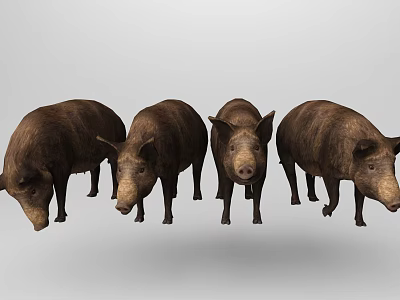 Four Brown Pigs Standing Together In Realistic Animal Group 3d model