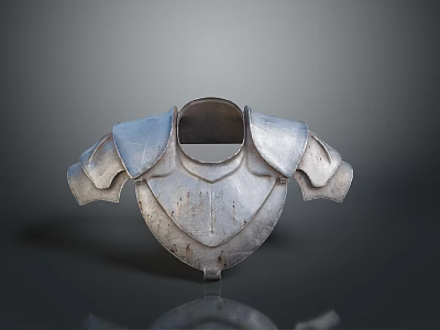 Medieval Warrior Metal Armor With Detailed Chest Plate And Shoulder Guards 3d model