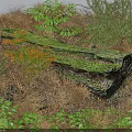 Flowers and Plants Surrounding Green Moss Covered Stone with Dry Grass and Green Leaves