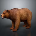 Realistic Brown Bear Standing with Thick Fur on Gray Background 3d model