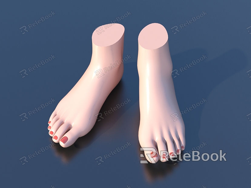 Manicure of Human Foot Model model