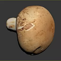 Fresh Single Orange Brown Mushroom With Smooth Surface And Natural Detailed Texture