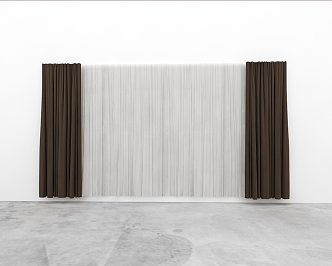 Modern Curtains 3d model