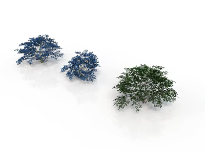 Three Blue and Green Trees with Lush Foliage on White Background 3d model