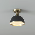 Modern Flush Mount Ceiling Lights with Glass Shades Brass Base and Ring Shapes 3d model