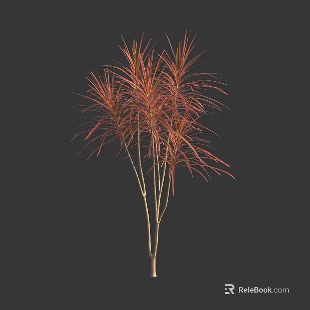 Elegant Ornamental Arbor Tree with Red Orange Foliage and Slender Trunks 3d model 