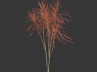 Elegant Ornamental Arbor Tree with Red Orange Foliage and Slender Trunks 3d model