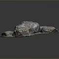 Rustic Wood and Stone Decorative Display With Green Moss Covered Base and Stones
