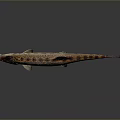 Spotted Aquatic Animal Fish with Brown and Black Patterns Swimming on Gray Background