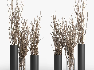 Decorative Ornament Set with Twigs in Black Cylindrical and Clear Glass Vases for Modern Decor 3d model