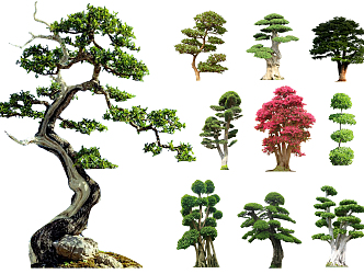 Modern pine tree modeling tree landscape tree ornamental tree courtyard tree plant opposite landscape tree 3d model