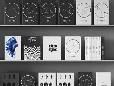 Stylish Books and Magazines with Feather Geometric Celestial and Moon Phase Covers 3d model