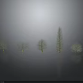 Five Different Shaped Plants on Black Smooth Surface with 3D Model Appearance and Varied Heights