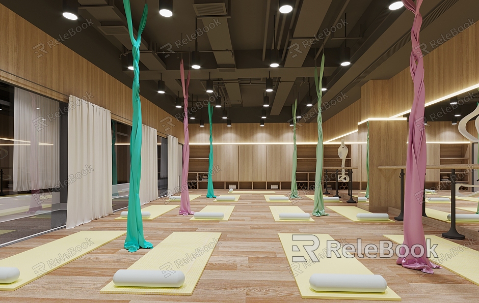 Modern Yoga Studio Gym Spinning model