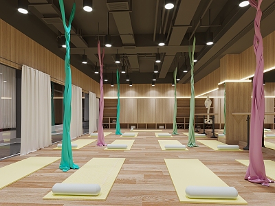 Modern Yoga Studio Gym Spinning model