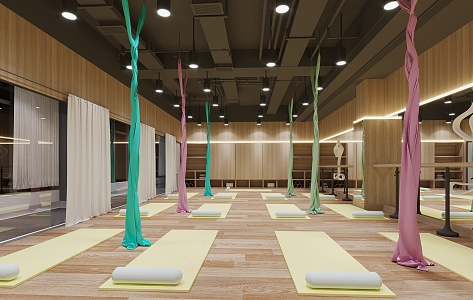 Modern Yoga Studio Gym Spinning 3d model