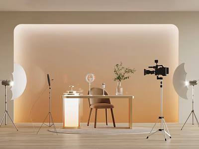 Photography Studio Setup With Backdrop Wall Table Chair Green Plant Lights And Tripods 3d model