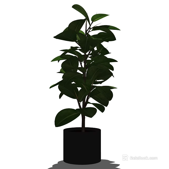 Potted Plant With Large Green Leaves In Black Ceramic Pot 3d model 