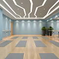 Yoga Fitness Studio With Pink Walls Wooden Floors Yoga Mats And Ballet Barres