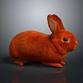 Cute Red Rabbit with Fluffy Fur Long Ears and Sitting on Dark Background