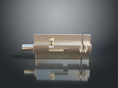 Polished Metal Locking Latch With Rectangular Body And Secure Bolt Design 3d model