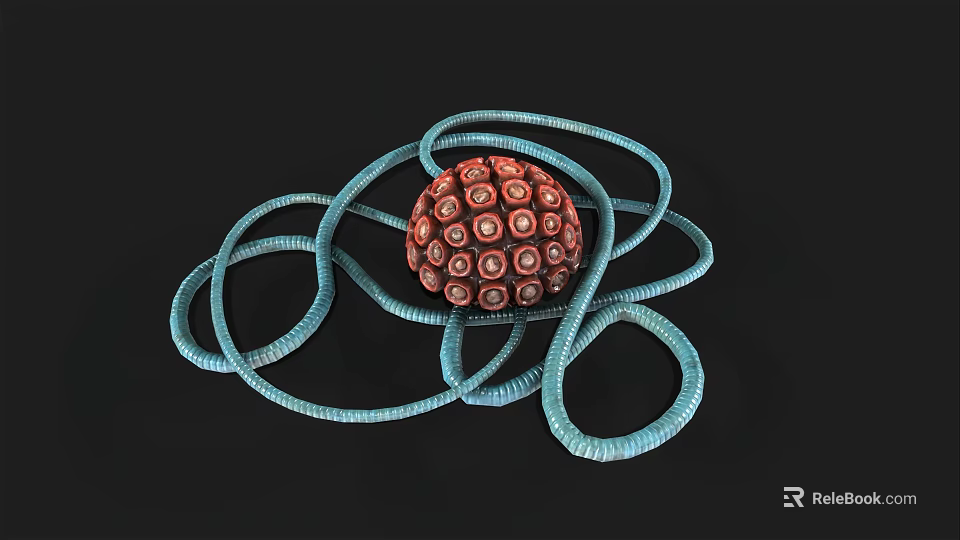 Biological Microorganism Structure Featuring Red Spherical Form Circular Patterns And Light Blue Coiled Appendages 3d model 