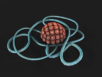 Biological Microorganism Structure Featuring Red Spherical Form Circular Patterns And Light Blue Coiled Appendages 3d model