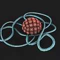 Biological Microorganism Structure Featuring Red Spherical Form Circular Patterns And Light Blue Coiled Appendages