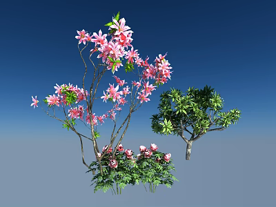 Arbor With Pink Flowers Slender Branches And Lush Green Leaves Against Blue Sky Background 3d model