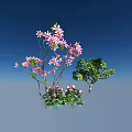 Arbor With Pink Flowers Slender Branches And Lush Green Leaves Against Blue Sky Background