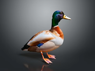 Duck With Green Head Brown Body And Yellow Beak Standing On Gray Background With Reflection 3d model