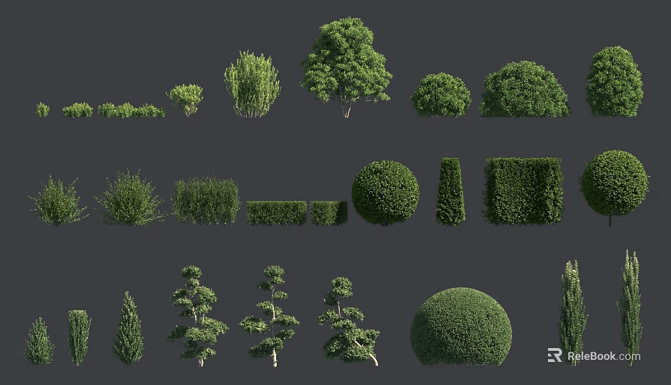 Diverse Shrub Varieties With Various Shapes For Garden Landscaping Projects 3d model 