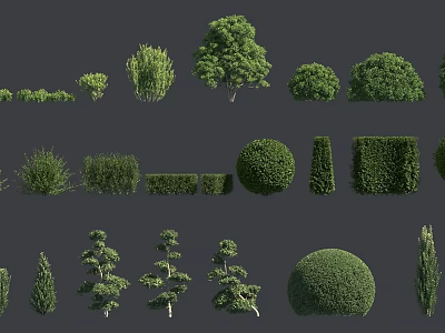 Diverse Shrub Varieties With Various Shapes For Garden Landscaping Projects 3d model