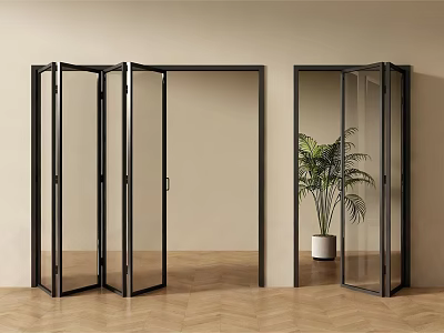 Modern Folding Doors With Black Framed Glass Panels And Plant In Light Wall Wooden Floor 3d model