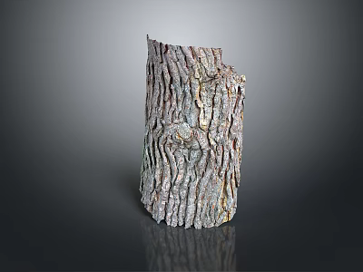 Detailed Tree Trunk With Natural Bark Texture On Dark Background 3d model