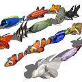 Colorful Aquatic Animals With Diverse Types And Vibrant Patterns Including Clownfish Goldfish