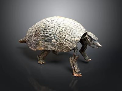 Armadillo With Scaly Shell In Walking Posture On Smooth Dark Surface 3d model