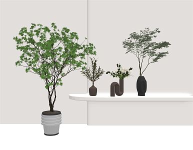 Modern potted green plant bonsai plant combination 3d model