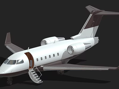 Private Jet With White Exterior Dark Tail Wing Open Door And Boarding Stairs On Ground 3d model
