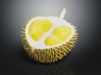 Ripe Durian Cut Open On Dark Background Showing Yellow Flesh And Spiky Outer Shell 3d model