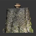 Wooden Tree Stump Decor Piece Featuring Natural Mossy Texture And Small Woven Basket