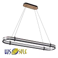 Modern Metal Chandelier With Hanging Lines And Sleek Ring Structure