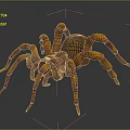 Copper Colored Spider With Eight Legs Shiny Appearance Dark Background Reflections
