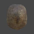 Natural Turtle Shell With Intricate Patterns Detailed Texture And Earthy Tones 3d model
