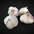 Fresh Whole Garlic Bulbs With Purple And White Papery Skin